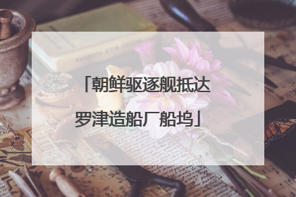 朝鲜驱逐舰抵达罗津造船厂船坞