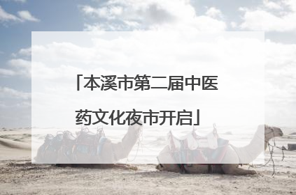 本溪市第二届中医药文化夜市开启