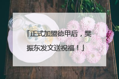 正式加盟德甲后，樊振东发文送祝福！