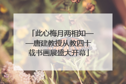 此心梅月两相知——唐建教授从教四十载书画展盛大开幕