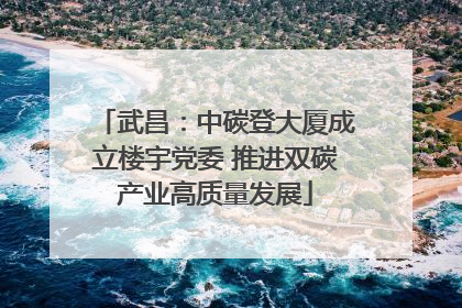 武昌：中碳登大厦成立楼宇党委 推进双碳产业高质量发展