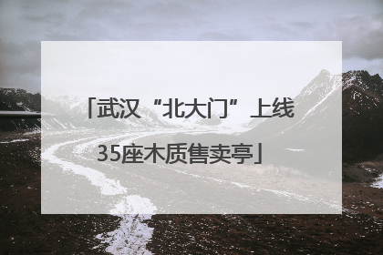 武汉“北大门”上线35座木质售卖亭