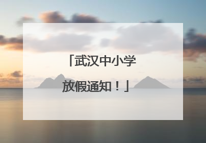 武汉中小学放假通知！
