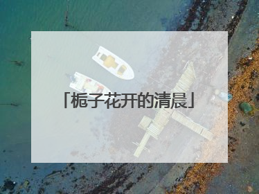 栀子花开的清晨