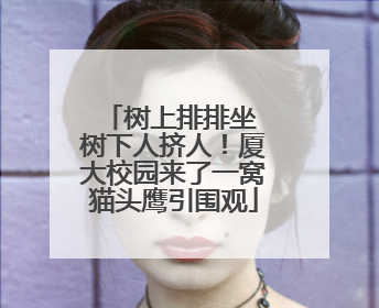 树上排排坐 树下人挤人！厦大校园来了一窝猫头鹰引围观