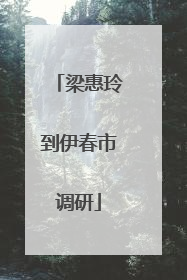 梁惠玲到伊春市调研
