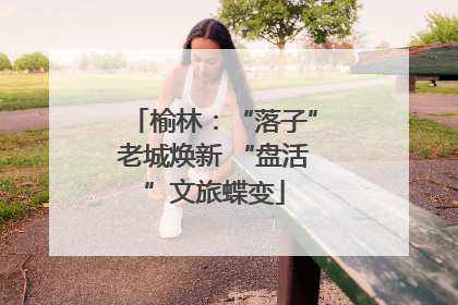 榆林：“落子”老城焕新 “盘活”文旅蝶变