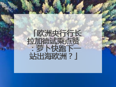 欧洲央行行长拉加德试乘点赞：萝卜快跑下一站出海欧洲？