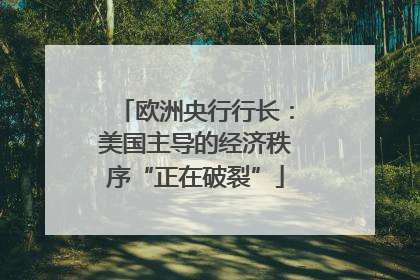 欧洲央行行长：美国主导的经济秩序“正在破裂”