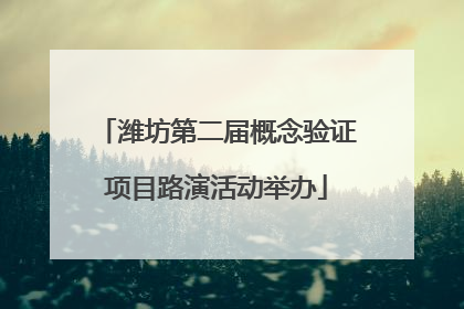 潍坊第二届概念验证项目路演活动举办