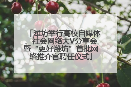 潍坊举行高校自媒体、社会网络大V分享会暨“更好潍坊”首批网络推介官聘任仪式