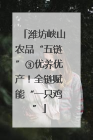潍坊峡山农品“五链”③优养优产！全链赋能“一只鸡”