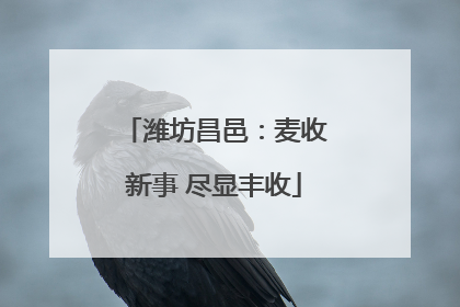 潍坊昌邑：麦收新事 尽显丰收