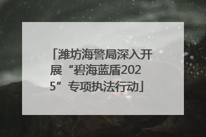 潍坊海警局深入开展“碧海蓝盾2025”专项执法行动