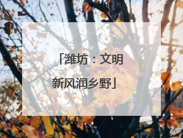 潍坊：文明新风润乡野