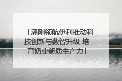 潘刚领航伊利推动科技创新与数智升级 培育奶业新质生产力