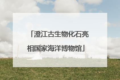 澄江古生物化石亮相国家海洋博物馆