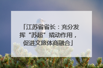 江苏省省长：充分发挥“苏超”撬动作用，促进文旅体商融合