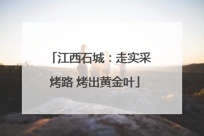 江西石城：走实采烤路 烤出黄金叶