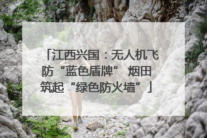 江西兴国：无人机飞防“蓝色盾牌” 烟田筑起“绿色防火墙”