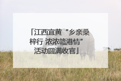 江西宜黄“乡亲桑梓行 浓浓赣港情”活动圆满收官