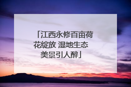 江西永修百亩荷花绽放 湿地生态美景引人醉