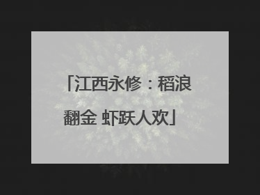 江西永修：稻浪翻金 虾跃人欢