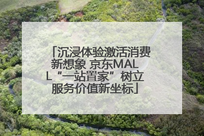 沉浸体验激活消费新想象 京东MALL“一站置家”树立服务价值新坐标