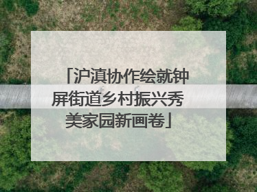 沪滇协作绘就钟屏街道乡村振兴秀美家园新画卷