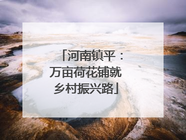 河南镇平：万亩荷花铺就乡村振兴路