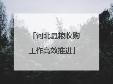 河北夏粮收购工作高效推进