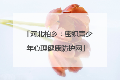 河北柏乡：密织青少年心理健康防护网