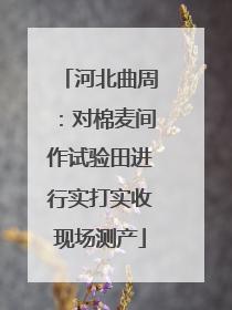 河北曲周：对棉麦间作试验田进行实打实收现场测产