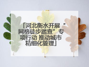 河北衡水开展“网格徒步踏查”专项行动 推动城市精细化管理