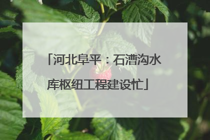 河北阜平：石漕沟水库枢纽工程建设忙