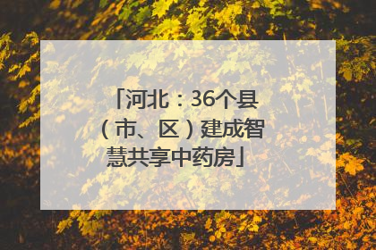 河北：36个县（市、区）建成智慧共享中药房