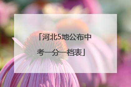 河北5地公布中考一分一档表