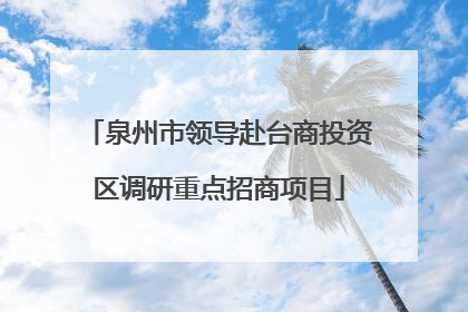 泉州市领导赴台商投资区调研重点招商项目