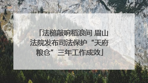 法槌敲响稻浪间 眉山法院发布司法保护“天府粮仓”三年工作成效