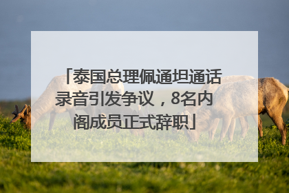泰国总理佩通坦通话录音引发争议，8名内阁成员正式辞职