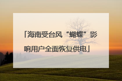 海南受台风“蝴蝶”影响用户全面恢复供电
