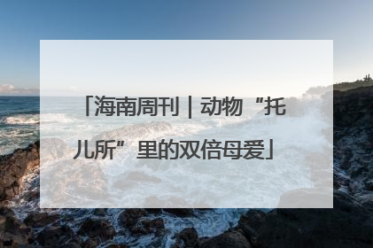 海南周刊｜动物“托儿所”里的双倍母爱