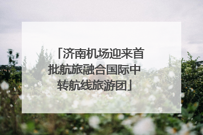 济南机场迎来首批航旅融合国际中转航线旅游团