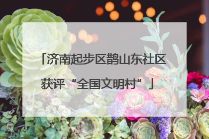济南起步区鹊山东社区获评“全国文明村”