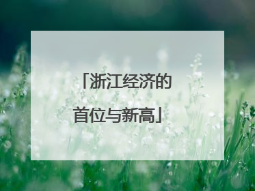 浙江经济的首位与新高