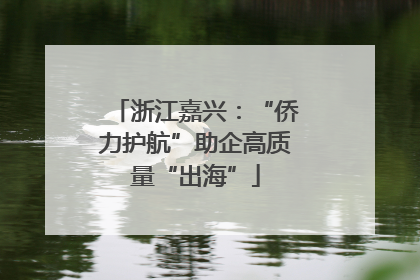 浙江嘉兴：“侨力护航”助企高质量“出海”