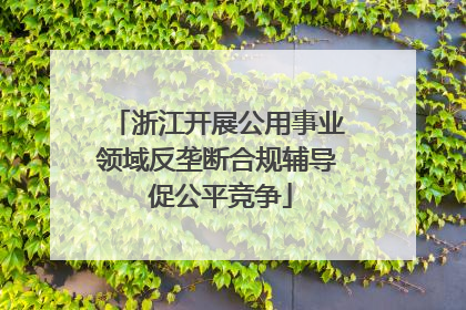 浙江开展公用事业领域反垄断合规辅导 促公平竞争
