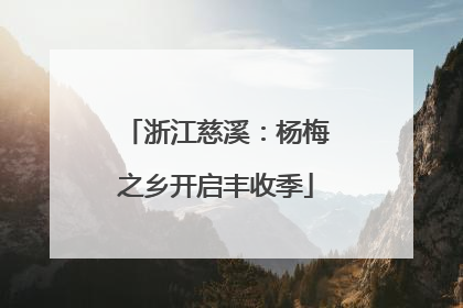 浙江慈溪：杨梅之乡开启丰收季