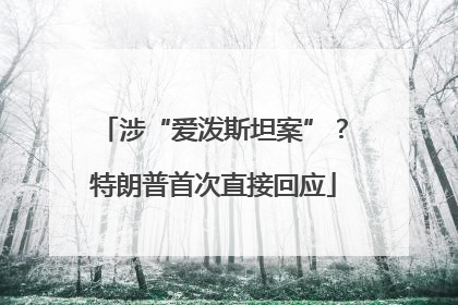 涉“爱泼斯坦案”？特朗普首次直接回应