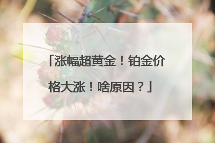 涨幅超黄金！铂金价格大涨！啥原因？